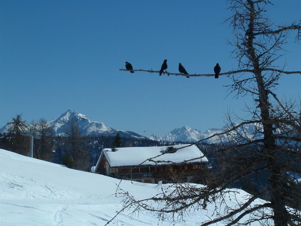 Mecki's Dolomiten Panorama Stubn Debant Ruang foto